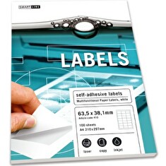 Europapier SMART LINE Samolepicí etikety 100 listů ( 21 etiket 63,5 x 38,1 mm) 140gr